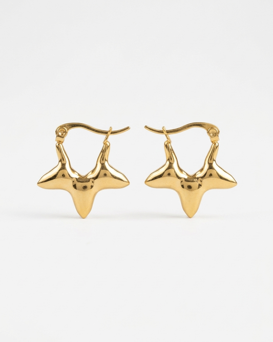 Golden Wish Star Hoops