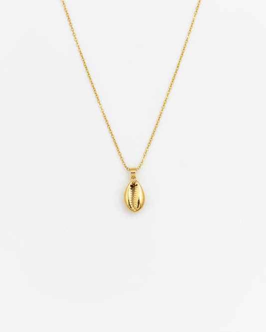 Pure Shell Pendant